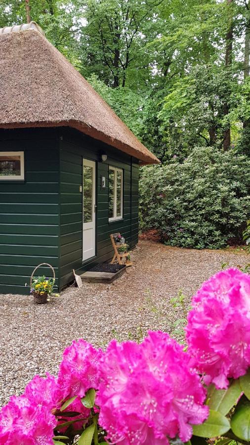 Vakantiehuis 'T Musje Epe Exterior foto
