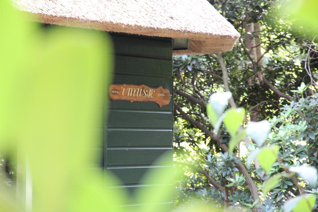 Vakantiehuis 'T Musje Epe Exterior foto
